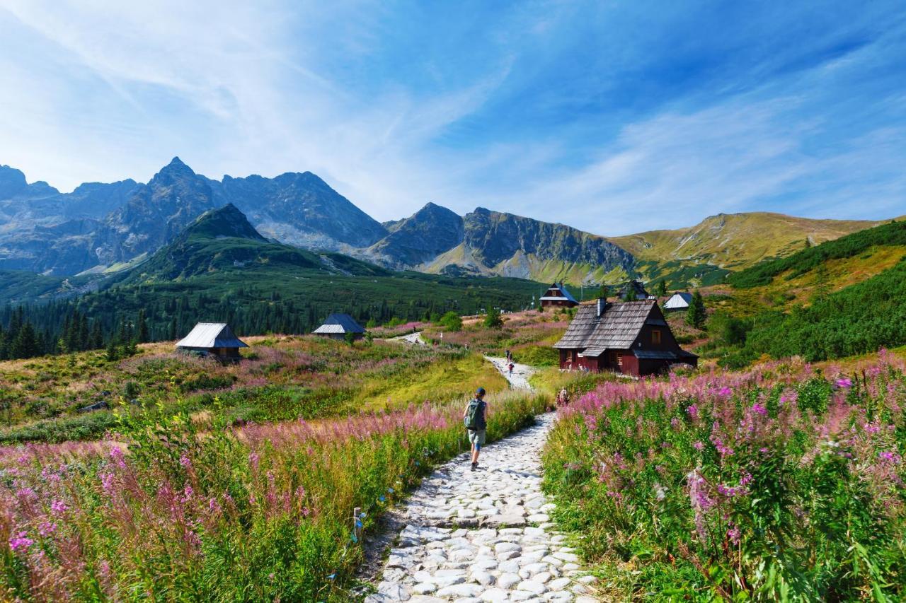 Apartament Chomikówka Zakopane