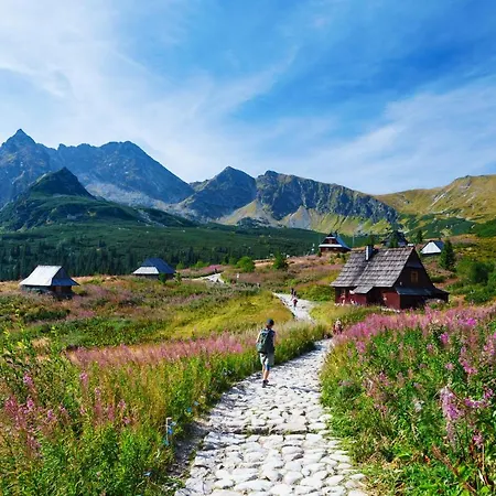 Apartament Chomikówka Zakopane Zewnętrze zdjęcie